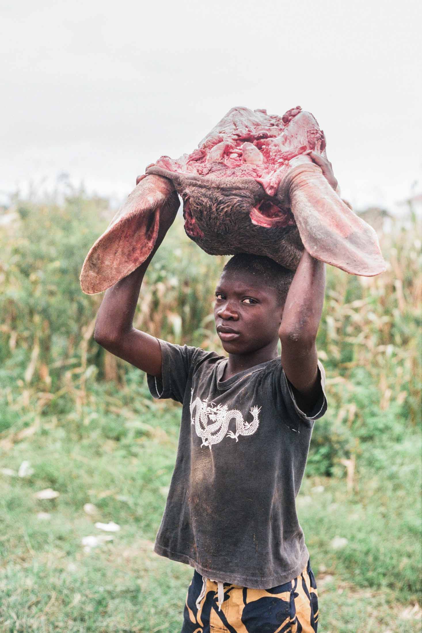 Quisqueya, Dajabon, Grenze 2012